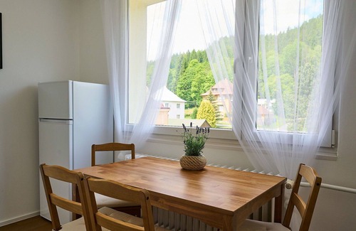 Josefov Dul Apartment | Beautiful apartment for 6 guests with WIFI, TV, balcony and parking