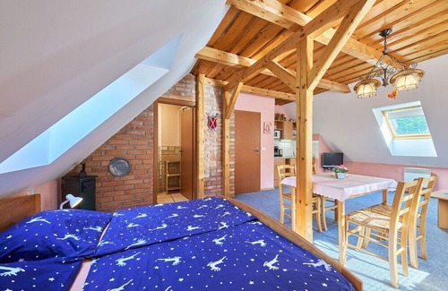 Starkov Villa | Beautiful apartment in villa for 4 people with pool, WIFI, TV, patio, pets allowed and parking