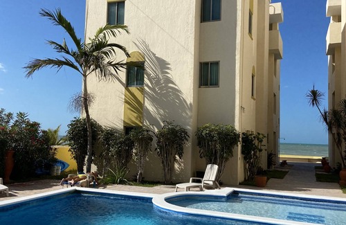 Chicxulub Puerto Apartment | Beautiful Apartment in Front of the Sea Chixculub/Weekly and monthly discounts!