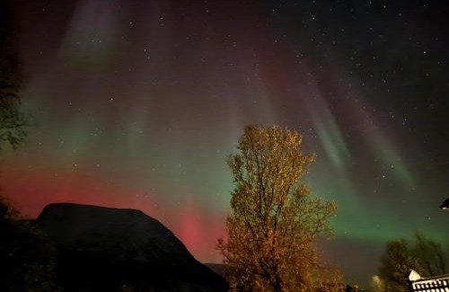 Tromso Apartment | beautiful apartment in nature