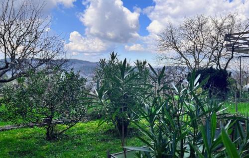 Pazin Apartment | Beautiful Apartment In Pazin With Wifi