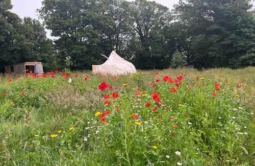 Cowbridge Cabin | Beautiful Bell Tent Stay