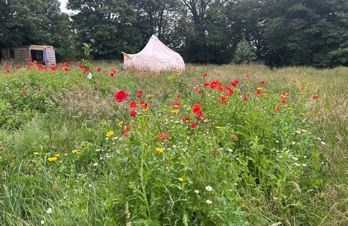 Cowbridge Cabin | Beautiful Bell Tent Stay
