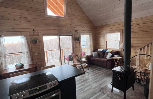 Wheelock Cabin | Beautiful Burke Mountain View Cabin with Loft