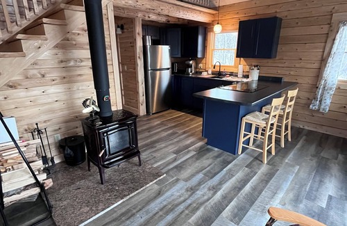 Wheelock Cabin | Beautiful Burke Mountain View Cabin with Loft