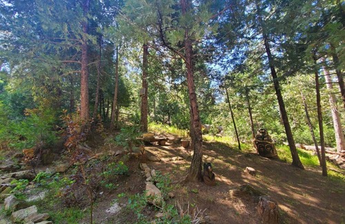 North Fork House | Beautiful Cedar Cabin