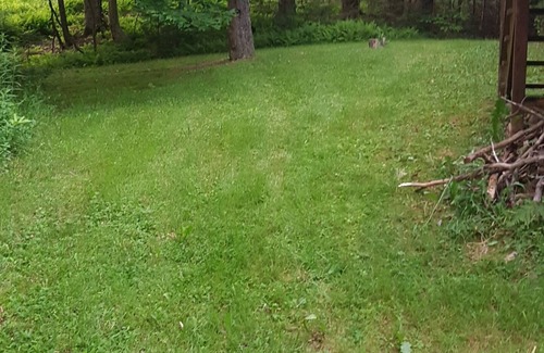 Montgomery Center House | Beautiful Chalet at Jay Peak for Aug/Sept/Oct/Nov