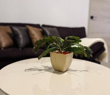 San Salvador Apartment | Beautiful City & Volcano Views
