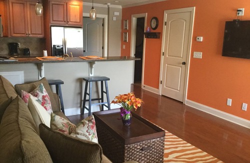Clemson Condo | Beautiful Clemson condo less than a mile from campus and downtown.