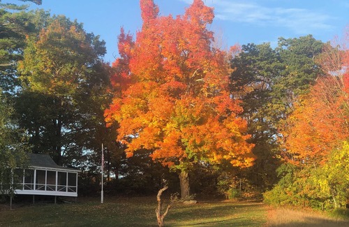 Chester Cottage | Beautiful country Cottage located on Apple farm. Beautiful fall foliage!