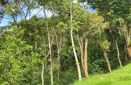 Areal Cottage | Beautiful Country House 15 minutes from Itaipava