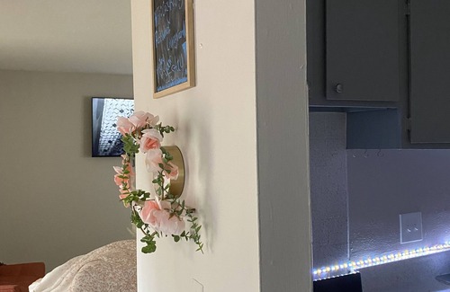 North Druid Hills Apartment | Beautiful Cozy Atlanta Apartment