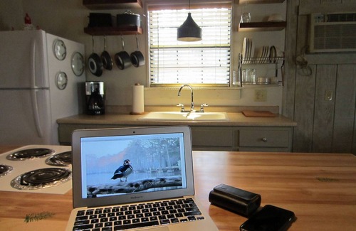 Spencer Cabin | Beautiful, Dog Friendly Log Cabin! 5min to Park