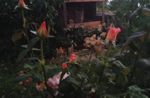 Petralona House | beautiful feelings in a beautiful part of Halkidiki