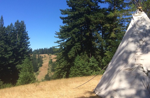 Occidental House | Beautiful Flat in Western Sonoma's redwood hills with hot tub, pets ok