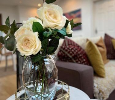 Springfield Apartment | Beautiful Garden View Apartment London