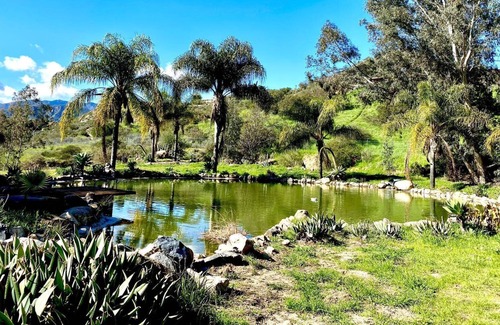 Fallbrook House | Beautiful Gated Ranch Home on 12+ Acres - Big Koi Pond, Pickleball, Fireplace