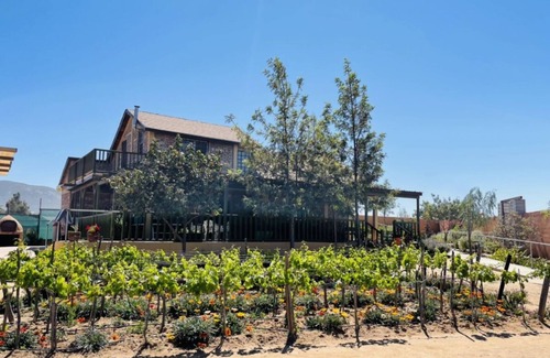 Valle de Guadalupe Cabin | Beautiful house in the heart of valle de guadalupe