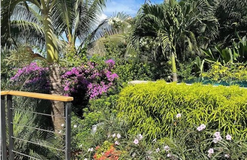 Mal Pais House | Beautiful Jungle Casita with plunge pool, Yoga/chill deck - stunning beach views