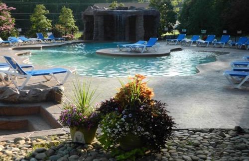 White Oak Lodge Apartment | Beautiful Lofted Condo, Centrally Located
