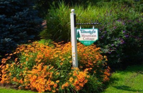 Wellsboro Cabin | Beautiful Log Cottage Located Along Pine Creek