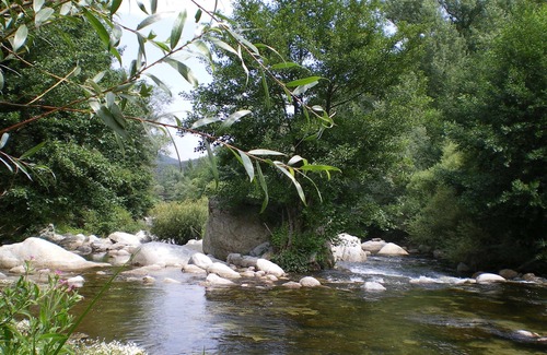 Arles-sur-Tech House | Beautiful Millhouse next to the river.