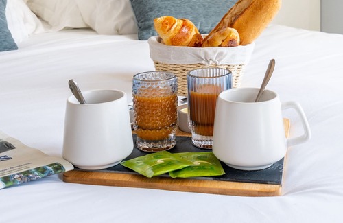 Salon-de-Provence Apartment | Beautiful modern and charming apartment in the heart of Salon de Provence