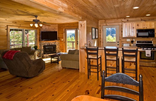 Maggie Valley Cabin | Beautiful Mountain Top Retreat Long Range Views, Hot Tub,Ping Pong,Horseshoe pit