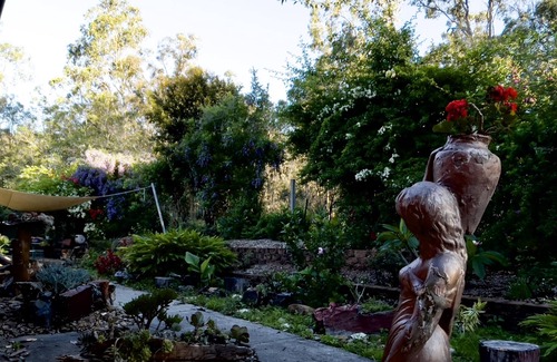 Maudsland House | Beautiful mudbrick house located in 7.5 acres beautiful land
