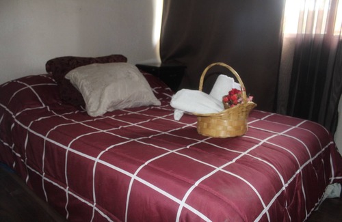 Coyoacan Apartment | Beautiful, cozy apartment in the sun