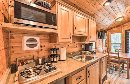 New Bern Apartment | Beautiful New Bern Studio Cabin w/Fire Pit!
