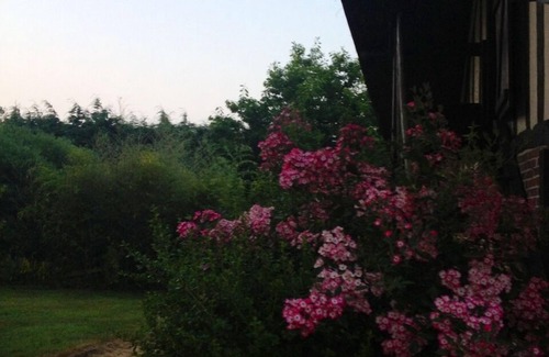 Maniquerville Villa | Beautiful Normandy villa near Etretat for 16 people, 5 minutes from the sea