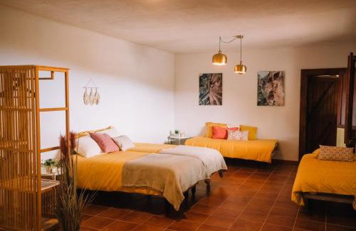 Los Gavilanes House | Beautiful Olive's cave house