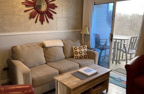 North Shore Condo | Beautiful Penthouse Condo With Amazing Smith Mountain Lake View