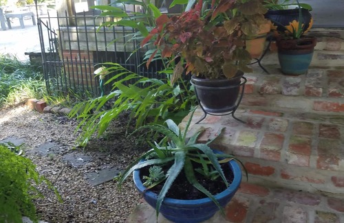 Breaux Bridge Condo | Beautiful Property on Bayou!