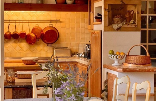 Besse-sur-Issole House | Beautiful Provençal manor house in award winning vineyard