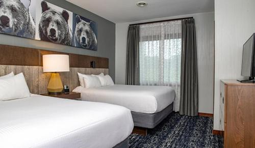 Lake Delton House | Beautiful Resort in Glacier Canyon 2BD Deluxe near Circus World