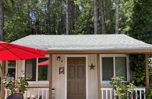 Cedar Ridge Apartment | Beautiful Rollins Lake Inn - Studio Cabin #3