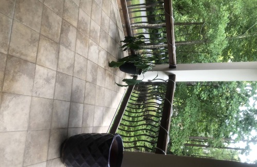 Flowery Branch House | Beautiful -Spacious Home @ Lake Lanier