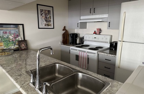Downtown Vancouver Apartment | Beautiful Spacious Apartment in the Best Part of Downtown Vancouver