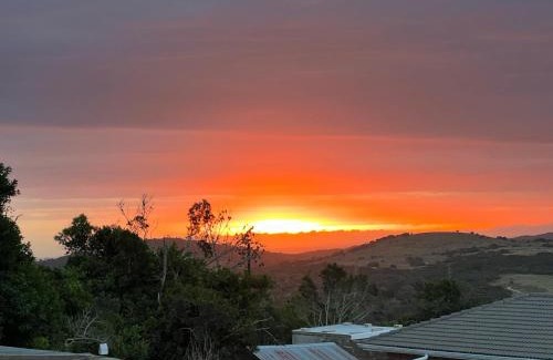 Port Elizabeth House | Beautiful suite Game Park view