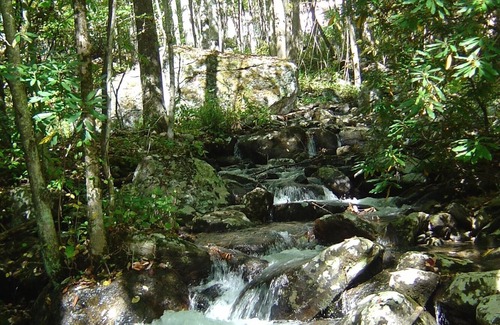 Bakersville House | Beautiful Three B/R three full bath Home on 1,800 Ft. of Waterfalls