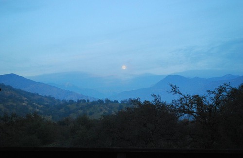 Three Rivers Cottage | Beautiful Views. Fully Furnished Cabin. Locally owned