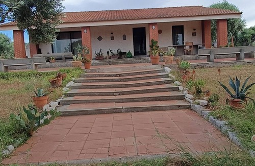 Conversano Villa | Beautiful villa nestled in a thousand-year-old olive grove 5 minutes from the sea