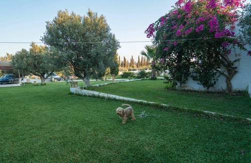 El Maamoura Villa | Beautiful villa with pool