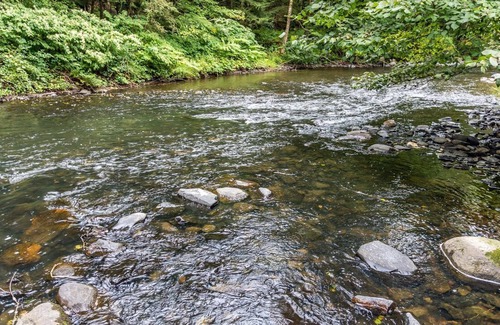 Lakeside House | Beautifully Appointed Riverfront Cottage Close to Bantam and Washington