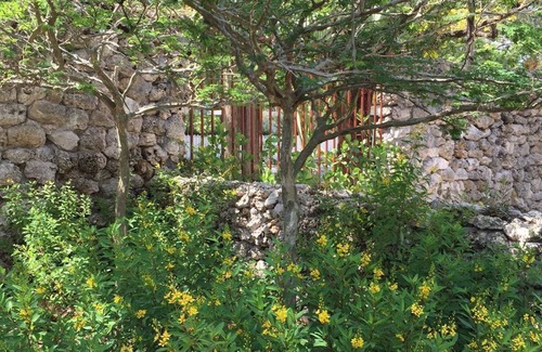 Northeast Coconut Grove Cottage | Beautifully Appointed Cottage Nestled In Upscale Grove Neighborhood