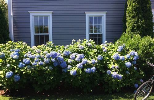 Naushop House | Beautifully furnished & impeccably maintained 5 bed, 3 1/2 bath Nantucket home