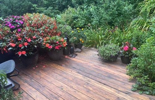 Delhi House | Beautifully landscaped 3-bedroom/2 bath house in the scenic Village of Delhi, NY