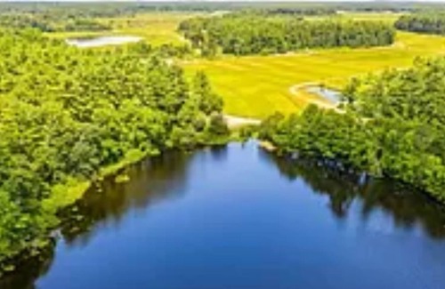 Carver Cabin | Beautifully wooded cabin on a pond- close to the city, even closer to the beach!